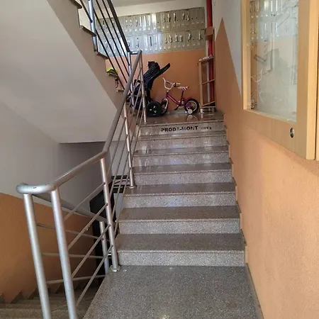 Helena 多博伊